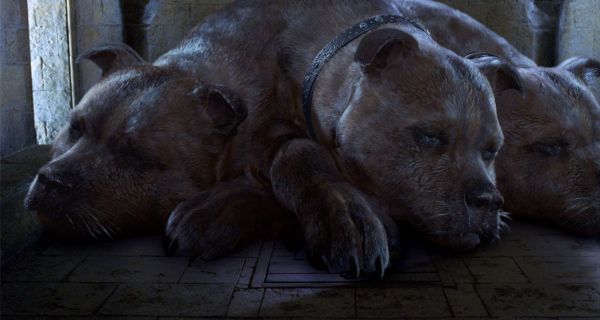 Гарри Поттер и философский камень