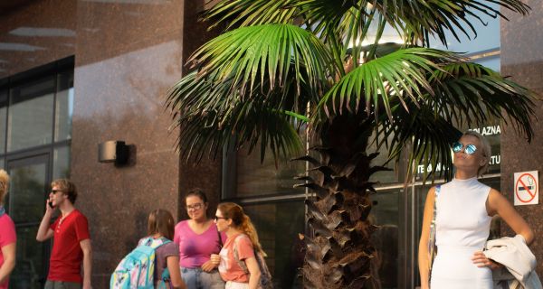 Сериал Почка