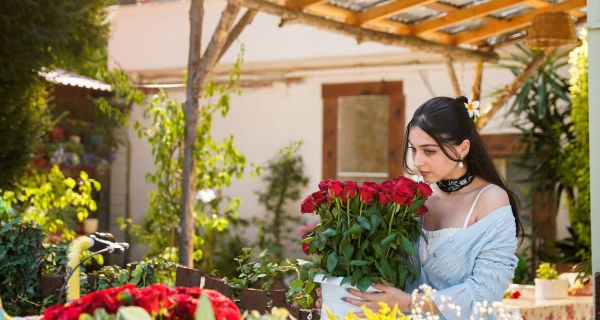 Розы и грехи